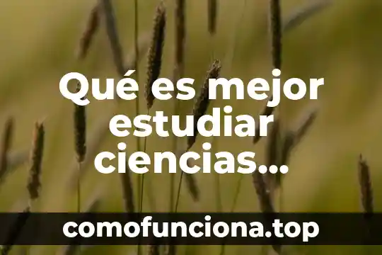 Por que es importante estudiar los valores 3 Qué es mejor estudiar ciencias políticas o relaciones internacionales