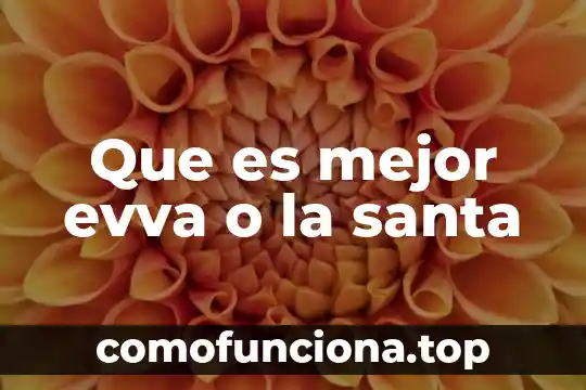 Que es planta santa maria 4 Que es mejor evva o la santa