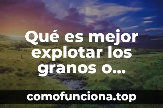Que es la escritura segun cecilia fierro 4 Qué es mejor explotar los granos o dejarlos