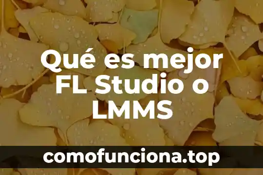 Que es mejor octoplus o sigmakey 4 Qué es mejor FL Studio o LMMS