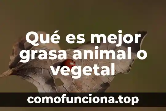 Que es grasa no solida 3 Qué es mejor grasa animal o vegetal