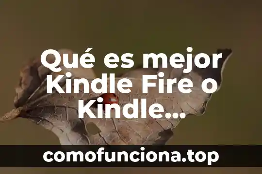 Que es mejor la ibero o el tec arquitectura 8 Qué es mejor Kindle Fire o Kindle Paperwhite