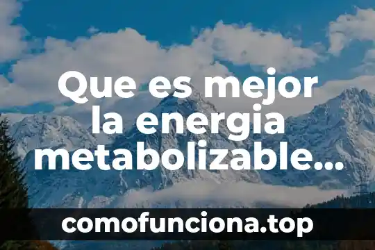 Qué es el ATP y la energía en las células 6 Que es mejor la energia metabolizable baja o alta