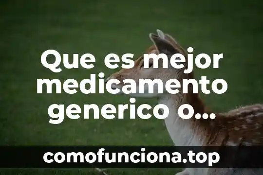 Motor generico que es 5 Que es mejor medicamento generico o similar