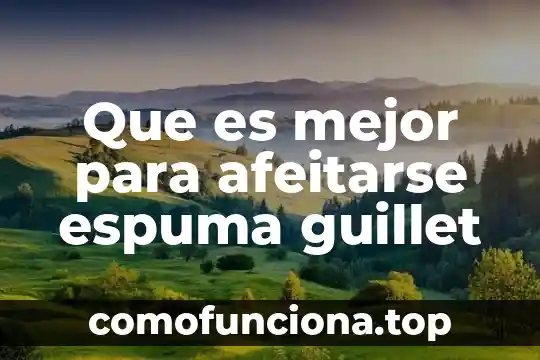 Que es el teatro griego y sus partes 4 Que es mejor para afeitarse espuma guillet