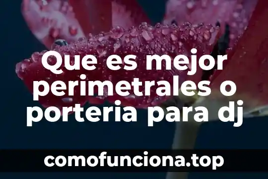 Que es mejor en una fiesta dj o grupo versatil 6 Que es mejor perimetrales o porteria para dj