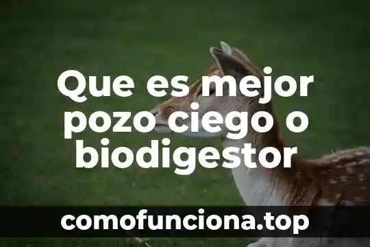 Por que es importate la historia 7 Que es mejor pozo ciego o biodigestor