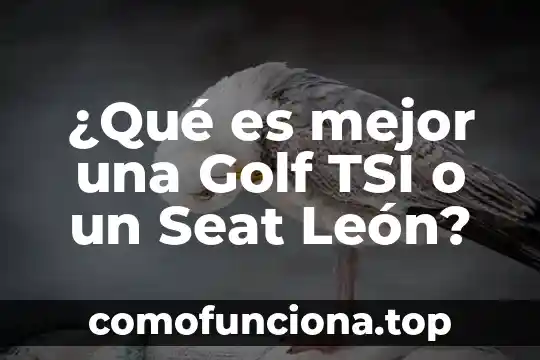 Que es ser siervo de dios 5 ¿Qué es mejor una Golf TSI o un Seat León?