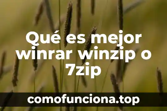 Que es mejor octoplus o sigmakey 5 Qué es mejor winrar winzip o 7zip