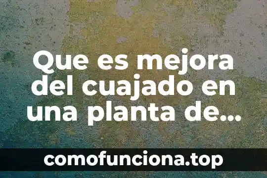 Que es la mejora en administracion 8 Que es mejora del cuajado en una planta de ornato