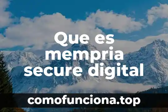 Que es las dsa firma digital 8 Que es mempria secure digital