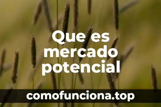 Que es segmentacion de mercado y mercado meta 7 Que es mercado potencial