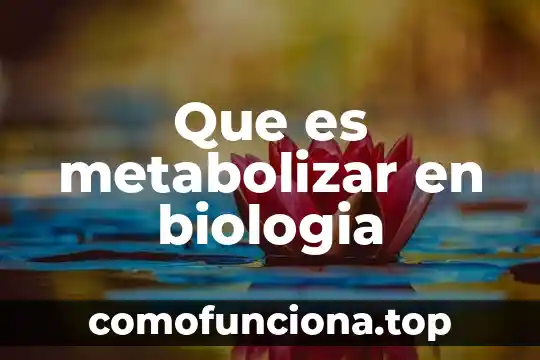 Que es patronímico en biologia 4 Que es metabolizar en biologia