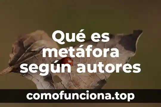 Que es una creencia segun diversos autores 3 Qué es metáfora según autores
