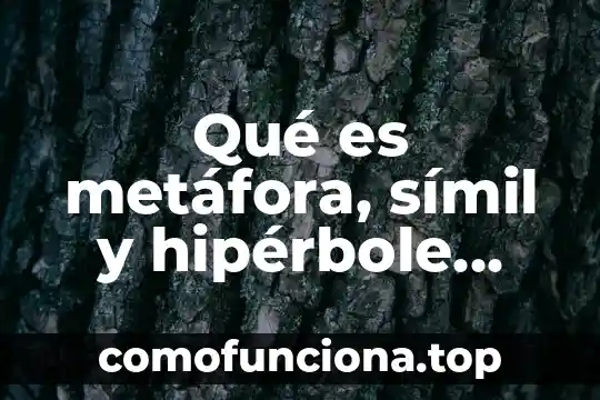 Qué es símil y metáfora ejemplos 6 Qué es metáfora, símil y hipérbole ejemplos