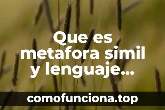 Qué es símil y metáfora ejemplos 7 Que es metafora simil y lenguaje figurado