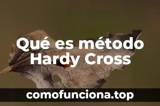 Método de Newton-Raphson que es 5 Qué es método Hardy Cross