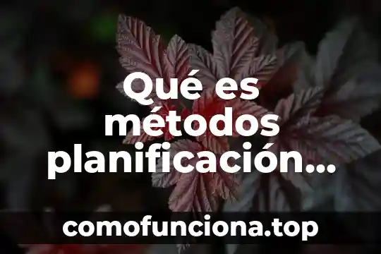 Que es el conocimiento tecnologico fines y metodos 7 Qué es métodos planificación familiar