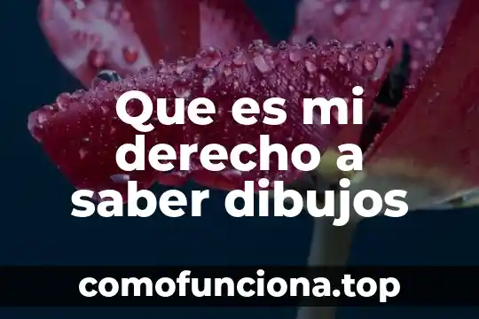 Que es la libertad dibujos 7 Que es mi derecho a saber dibujos