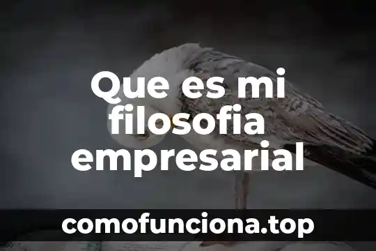 Qué es disyunción en filosofía 4 Que es mi filosofia empresarial