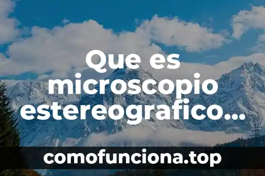 Que es las dsa firma digital 7 Que es microscopio estereografico digital