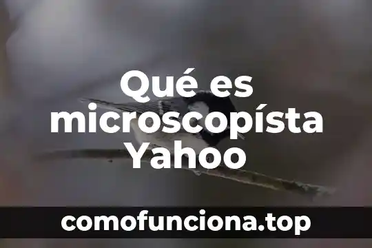 Qué es una hipótesis estadística Yahoo 4 Qué es microscopísta Yahoo