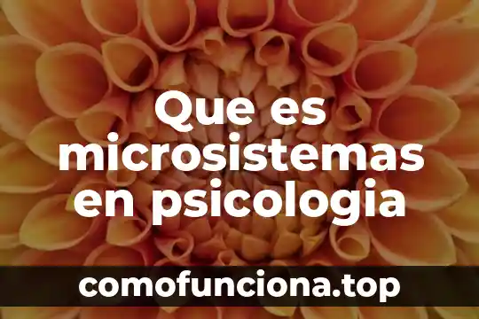 Qué es paradigma en psicología 4 Que es microsistemas en psicologia