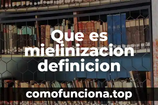 Que es la definicion de libertad 5 Que es mielinizacion definicion