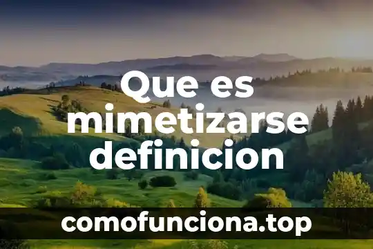 Qué es definición de lógica 7 Que es mimetizarse definicion