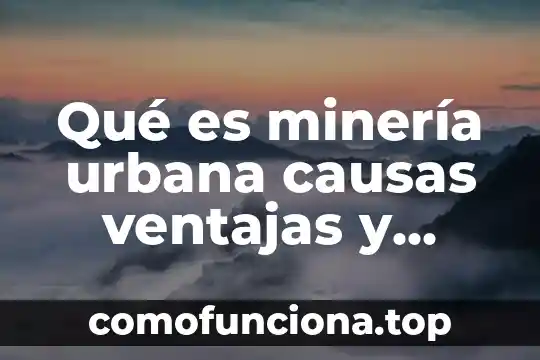Qué es estadística ventajas y desventajas 7 Qué es minería urbana causas ventajas y desventajas