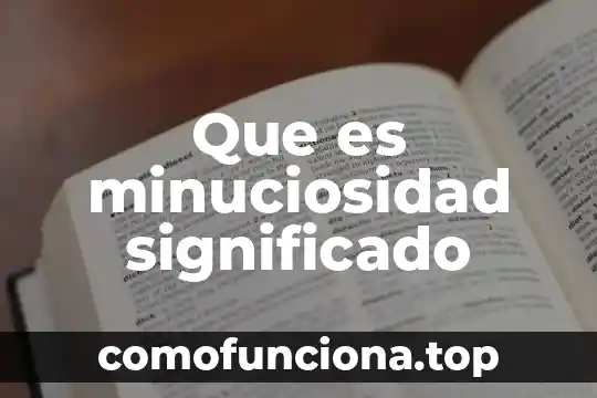 Que es significado implicito 3 Que es minuciosidad significado