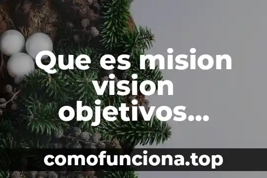 Qué es visión en una organización 8 Que es mision vision objetivos diagnostico