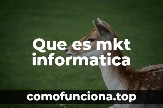 Que es rack informatica 3 Que es mkt informatica