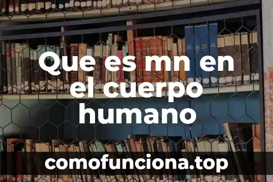 Dimensión cultural del ser humano que es 4 Que es mn en el cuerpo humano