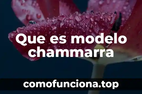 Modelo en espiral en programación que es la planificación 8 Que es modelo chammarra