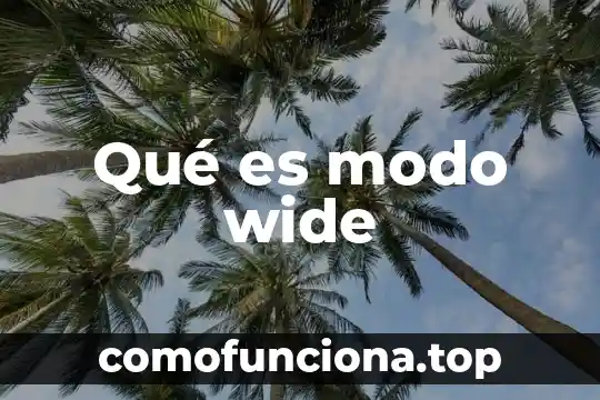 Que es un elemento de identificacion en un texto informativo 7 Qu茅 es modo wide