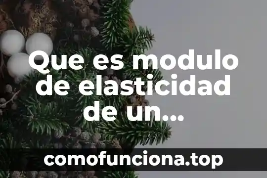 Qué es elasticidad significado 6 Que es modulo de elasticidad de un elemento en torsion