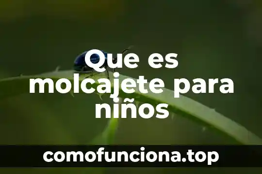 Que es la epidermis para niños 4 Que es molcajete para niños