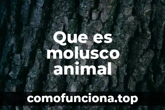 Que es ciervo animal 4 Que es molusco animal