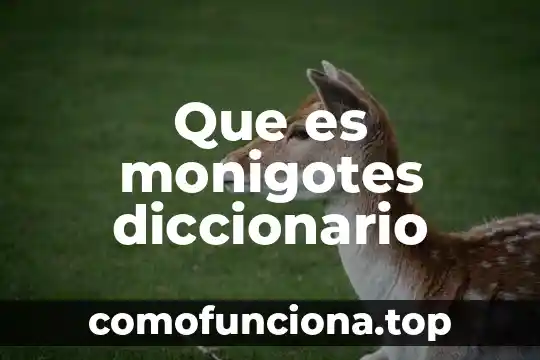 Why que es 4 Que es monigotes diccionario