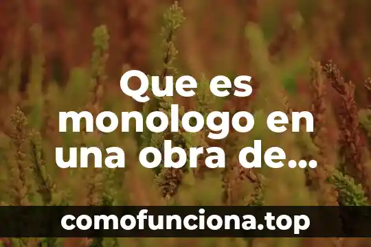 Que es una obra de arte bidimensional 7 Que es monologo en una obra de teatro