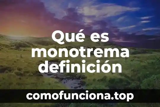 Que es pensamiento cotidiano ejemplos 3 Qué es monotrema definición
