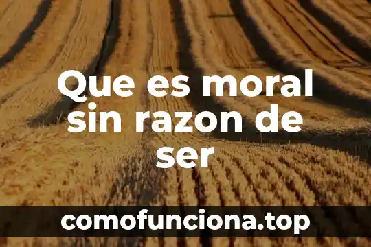 Que es ser hipomaniaco 6 Que es moral sin razon de ser