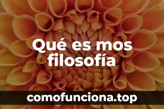 Qué es subterráneo en filosofía 3 Qué es mos filosofía