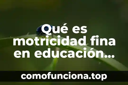 Para que es importante la motricidad gruesa en los niños 8 Qué es motricidad fina en educación física