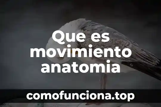 Que es la anatomía humana y para que sirve 8 Que es movimiento anatomia