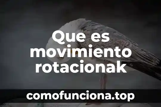 Que es el movimiento inercial 7 Que es movimiento rotacionak