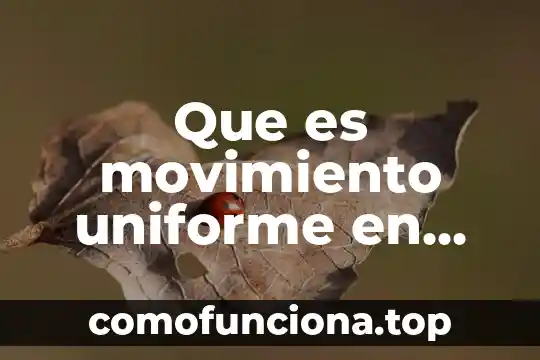 Que es una recta dibujo constructivo 5 Que es movimiento uniforme en linea recta