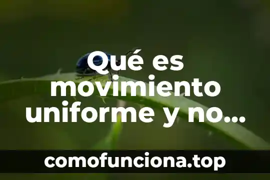 Qué es el movimiento mundial por la desinversión 3 Qué es movimiento uniforme y no uniforme