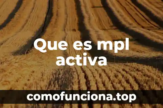 Qué es la rama de la filosofía idealista 4 Que es mpl activa